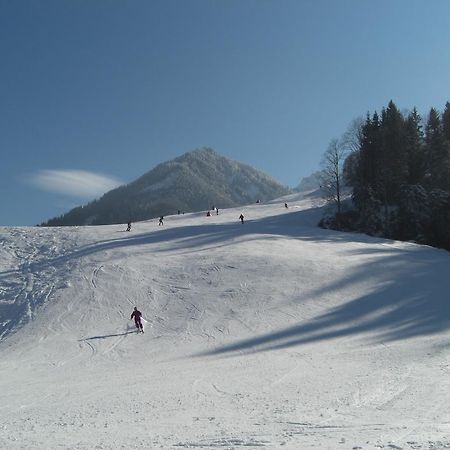 Tirolerhaus Διαμέρισμα Walchsee Εξωτερικό φωτογραφία