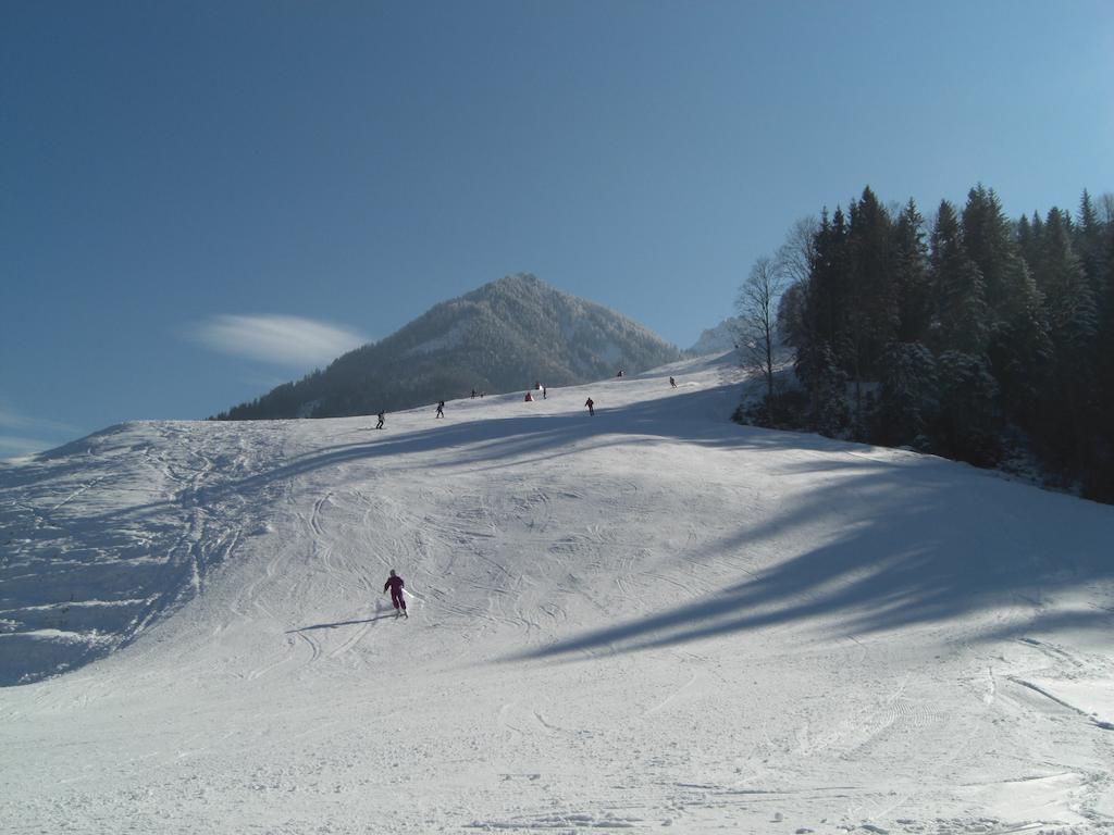 Tirolerhaus Διαμέρισμα Walchsee Εξωτερικό φωτογραφία